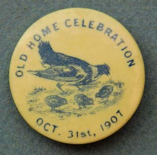 1907 Old Home Celebration Celluloid Pin Poultry Image Tra5 - 19