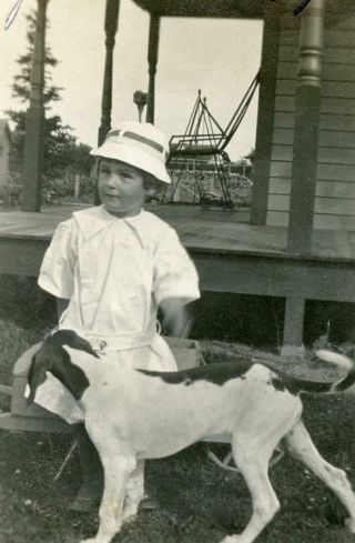Kj118 Vtg Photo Boy With His Dog,  Victorian Porch,  Bird House C Early 1900 