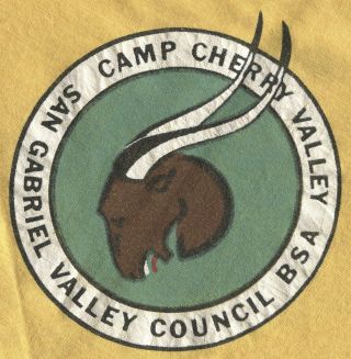 Bsa Sgvc Glaac Camp Cherry Valley Neckerchief - Colored Goat With Green.