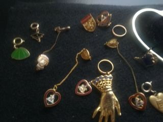 Vintage Women of the Loyal Order of Moose Jewelry Pins SOME MARKED GOLD 3