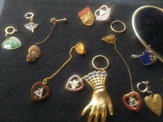 Vintage Women of the Loyal Order of Moose Jewelry Pins SOME MARKED GOLD 8