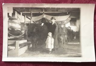 Antique Vintage Photo Boy On Bull Cow Girl Man Beef Cattle Fair Mobile Alabama