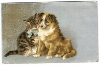 Helena Maguire Cat Kitten And Lassie Collie Dog Cute Old Artist Postcard