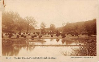 Springfield,  Ma,  Forest Park Lily Pond,  Underwood Real Photo Pc P6461 C 1910 - 20