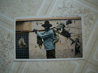 1910? Black Americana Postcard,  Nine Coons In Dixieland