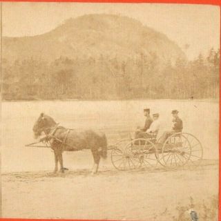 Horse And Carriage Near Elephant Head,  White Mts.  C.  W.  Woodward Stereoview Photo
