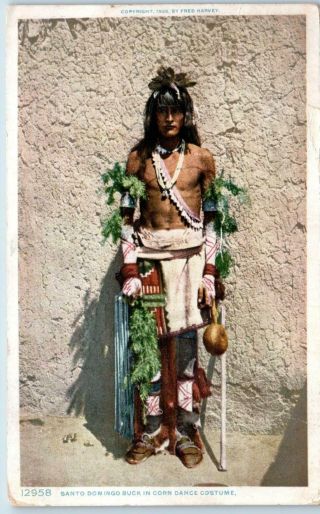 Santo Domingo,  Nm Native American Buck Corn Dance 1909 Fred Harvey Postcard