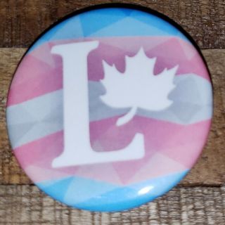 Transgender/gay Pride Flag Authentic Liberal Party Of Canada Button/pin