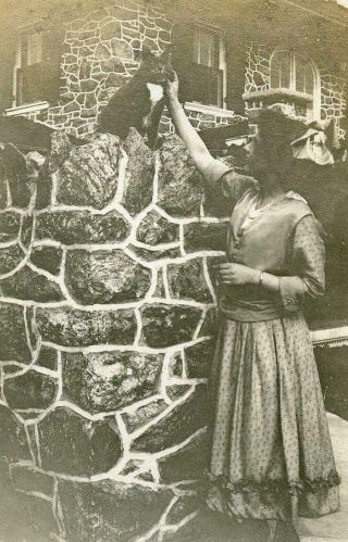 Ac502 Vtg Photo Edwardian Woman Big Gray Kitty Cat On Wall C Early 1900 