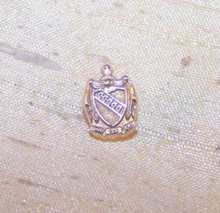 Vintage Tau Kappa Epsilon Fraternity 10k Gold Small Crest Pin,  Bpa Tke Old