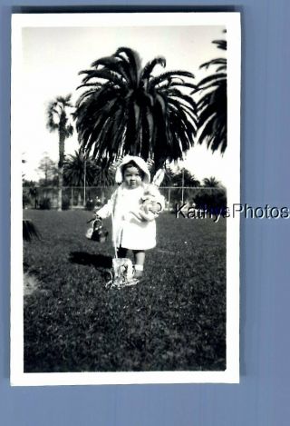 Vintage Photo M_5984 Little Girl In Dress Posed On Grass With Easter Basket,  Rabb