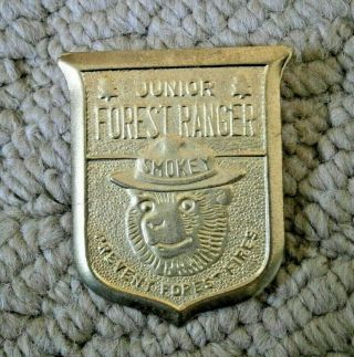 Smokey The Bear - Junior Forest Ranger - Vintage - Tin - Pin