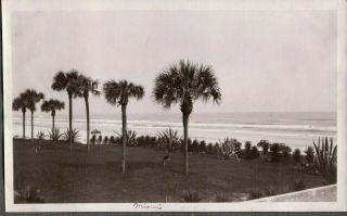Vintage Photograph 1932 Cars Autos On Beach Palm Trees Miami Florida Old Photo