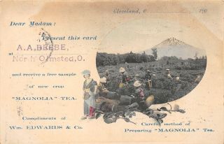 F61/ North Olmsted Ohio Postcard 1907 A.  A.  Beebe Store Tea Advertisement