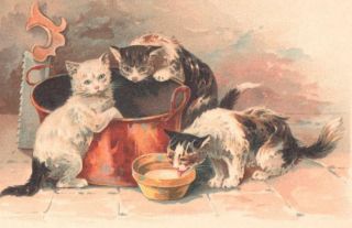VINTAGE FRENCH ADVERTISING POSTCARD CHICORY COFFEE CATS COPPER TUB SAW MILK 2