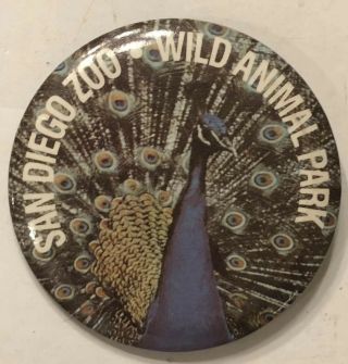 Vintage San Diego Zoo Wild Animal Park Peacock Theme Pin Button 2.  25”