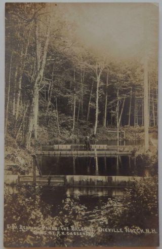 Antique 1921 Real Photo Postcard Fish Rearing Pond The Balsams Dixville Notch Nh