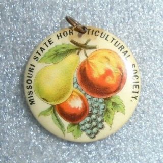 Antique Celluloid Pin Button Mo State Horticultural Society Fair