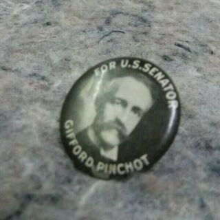 Gifford Pinchot Candidate For Senate Celluloid Pin - Pennsylvania
