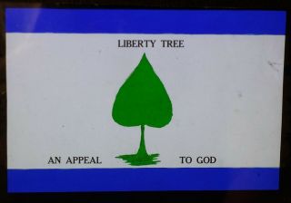 Colonial America,  1776 " Liberty Tree " Flag,  Magic Lantern Glass Slide