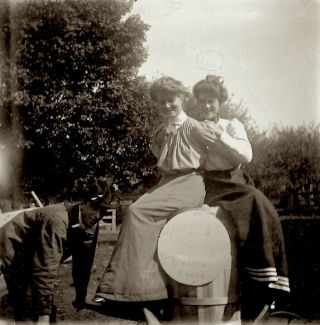1890s Photo Glass Negative Says Maiden Blush Wheel Barrel Woman In Orchard Maine