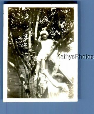 Found Vintage Photo C,  1787 Little Girl In Dress Sitting Up In Tree