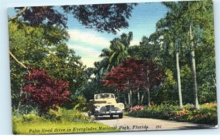 Everglades National Park Florida Old Car Drive 1940s Vintage Linen Postcard D58