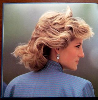 Princess Diana Portrait Of A Princess Hardcover Book 100s Of Photographs