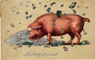 Pigs,  Pig In A Coin And Banknote Rain,  Funny Old Postcard