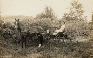 Williamsville,  Vt Porter Thayer Rppc Riding In A One - Horse Buggy C1910