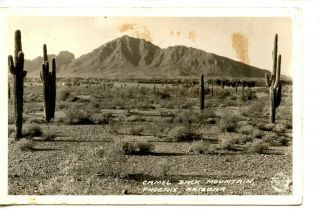 Desert - Camelback Mountain - Phoenix - Arizona - Rppc - 1943 Vintage Real Photo Postcard
