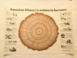 Vintage Smokey The Bear Forest Service History In Tree Rings 1977 Poster