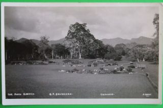 H.  Dash Rp Postcard C.  1920 Rock Garden Q.  P.  Savannah Trinidad British West Indies