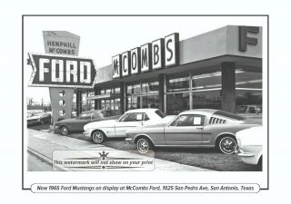 1965 Ford Mustangs,  Mccombs Ford,  1025 San Pedro Ave,  San Antonio,  Texas