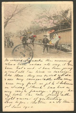 Japan Vintage Postcard - Cherry Blossom & Rickshaws At Noge Hill - Yokohama