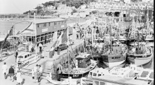 Large Format Negative.  5 " X 4 ".  Fishing Boats In Brixham Harbour