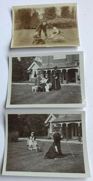 Photographs X3 Family In Garden Grandma Nanny Baby Dogs Dog - Cart Father 1900’s