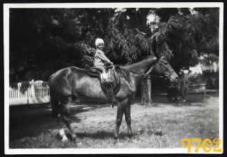 Orig.  Vintage Photograph,  Small Boy Riding On Horse 1930’s Hungary
