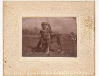 1900 Little Boy With Big - Headed Dog Cabinet Card Photo 2 7/8 X 3 5/8