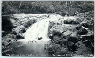 Santa Cruz County,  Ca California Redwood Park Woodwardia Falls C1910s Postcard