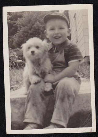 Vintage Antique Photograph Cute Little Puppy Dog Sitting With Little Boy On Step