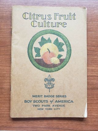 1931 Citrus Fruit Culture Merit Badge Pamphlet Book