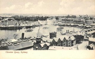 Circular Quay,  Sydney,  Australia Ca 1910s Antique Vintage Postcard
