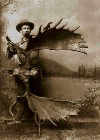 Antique Studio Photo Man Posing W/ Trophy Moose Antlers.  Vintage Photo Print 5x7