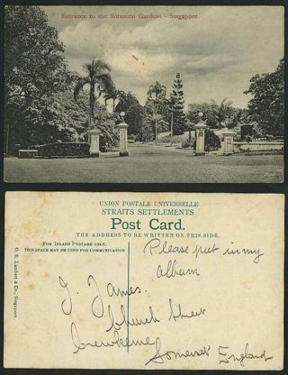 Singapore Old Postcard Entrance To The Botanical Gardens,  Botanic Garden,  Malaya