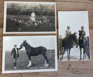 3.  Vintage Real Post Card Photographs Shire Horse,  Hounds,  Land Girls