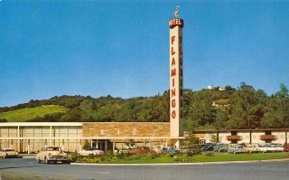 Santa Rosa,  California Flamingo Hotel Roadside Ca 1950s Vintage Postcard