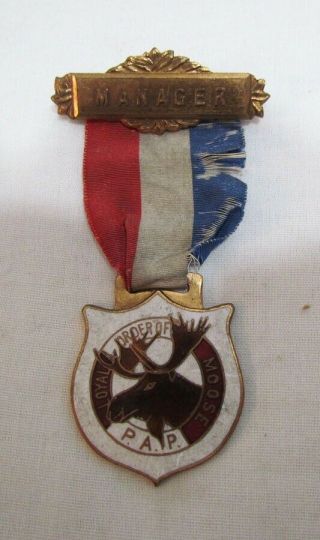 Loyal Order Of The Moose P.  A.  P.  Manager Convention Medal Badge Ribbon C.  1920