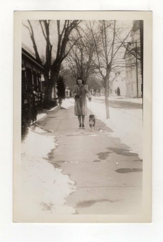 Vintage 4 " X 6 " Photo Woman Wearing Fur Coat Walking Dog 1940 