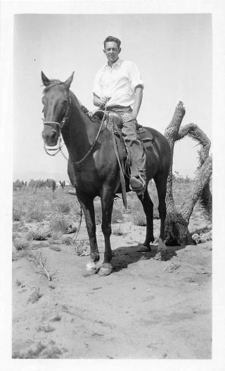 Photo Handsome Young Cowboy On Horse 1920 - 30 